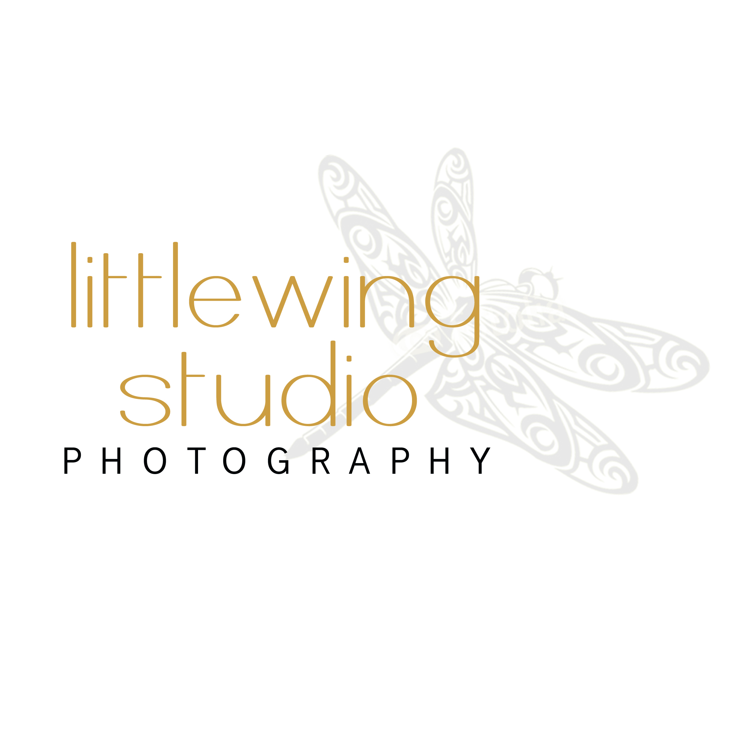 Littlewing Studio Photography